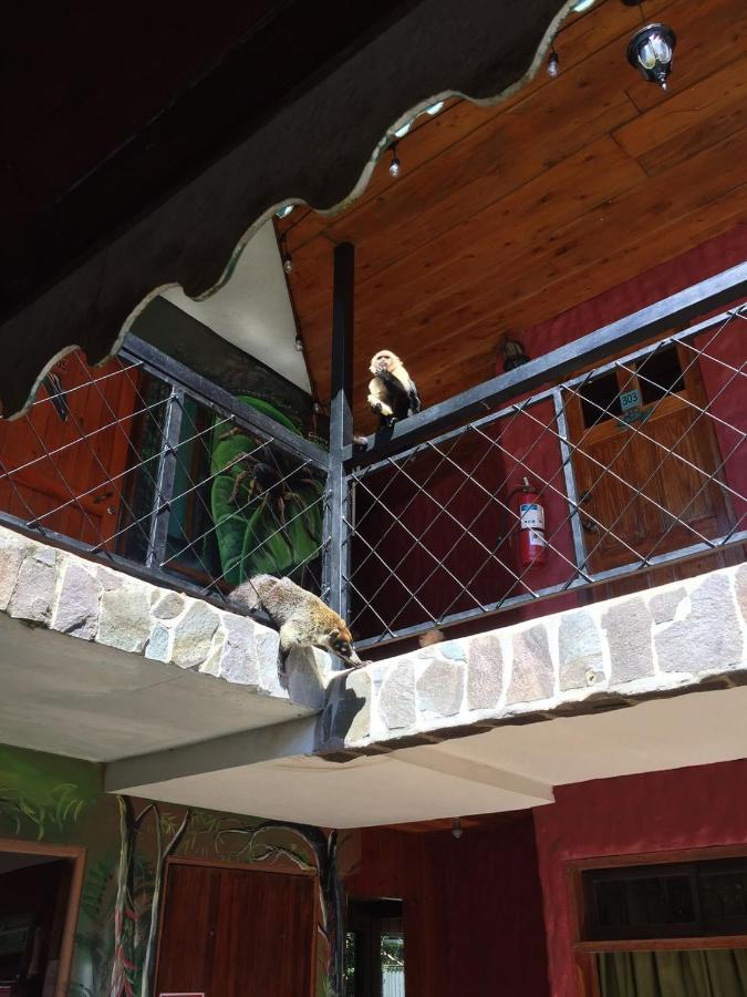 Manakin Lodge, Monteverde Cr エクステリア 写真